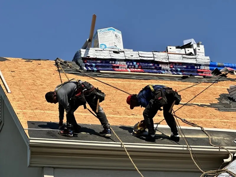 Professional roofing team